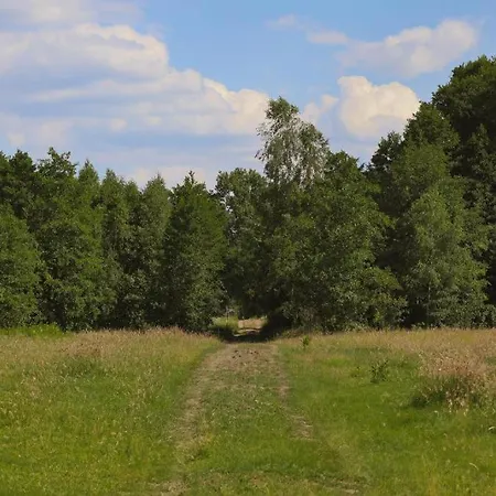 Ferienhaus Oaza Swiety Spokoj - Tiny House Z Balia I Jacuzzi Przy Rzece Narew Rogozno (Wyszkow)
